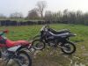IMG_20230325_094826_503