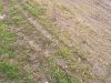IMG_20230325_112135_118