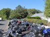 DSC00461