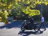 IMG-20231001-WA0034