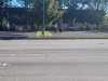 IMG-20231001-WA0062