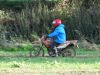 DSC00674