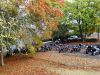 DSC00055