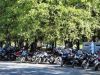 DSC00110