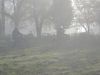 Photo 046