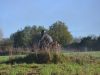 Photo 094