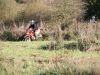 img_9600_22593190233_o