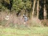img_9610_22592954793_o