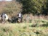 img_9624_22923866540_o
