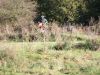 img_9627_23219609855_o