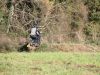 img_9640_23219304175_o