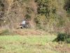 img_9641_22592197103_o