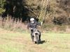 img_9647_22923332410_o