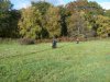 image106g
