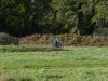 image114g