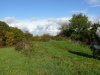 image89g