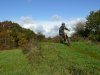 image95g