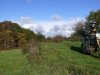 image96g
