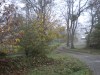 image21g