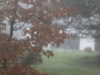 image31g