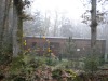 image36g