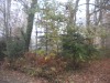 image43g