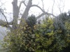 image49g