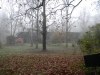 image51g