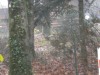 image55g