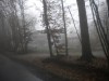 image59g