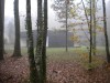 image74g