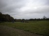 image31g